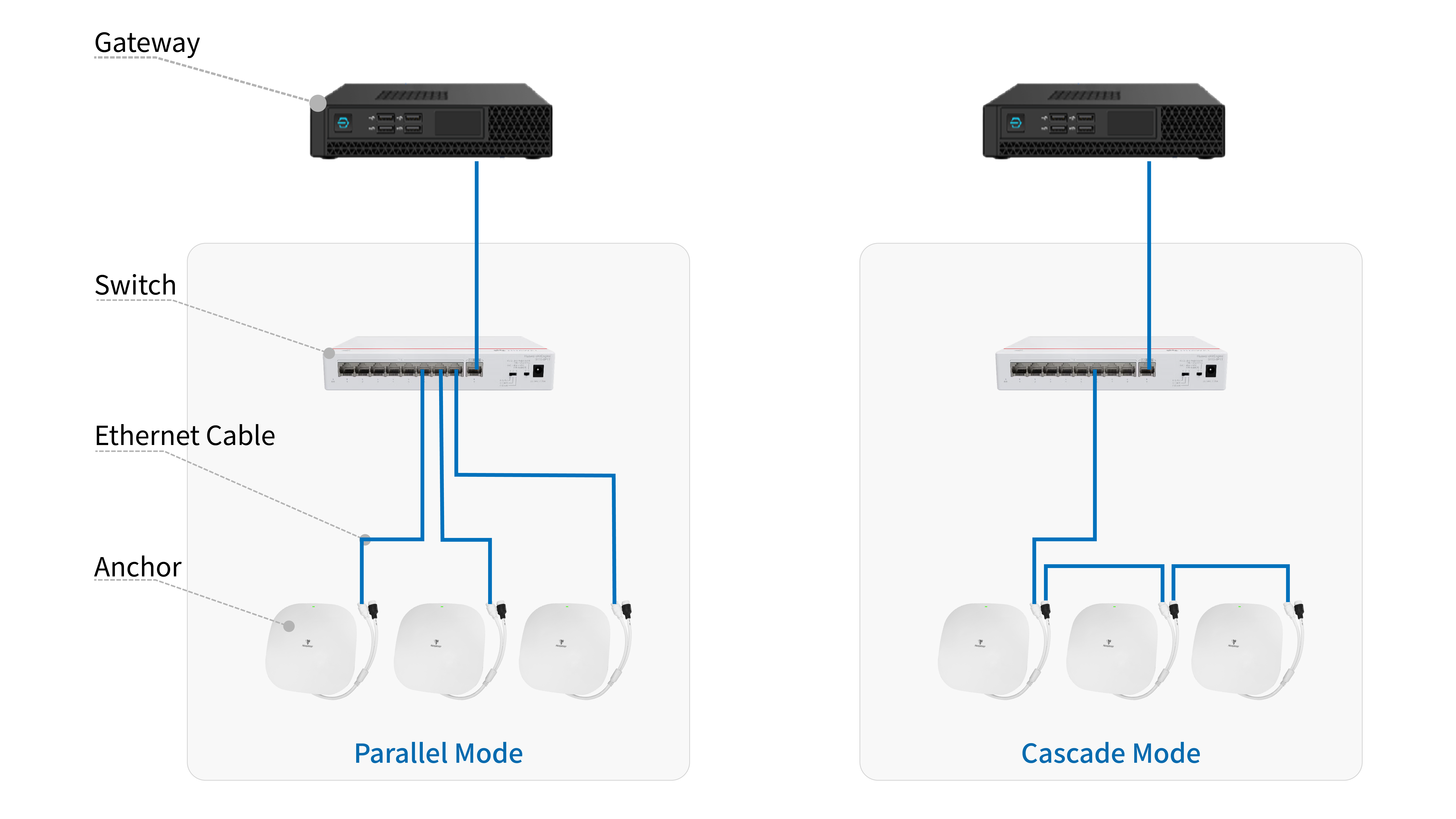 Network topology